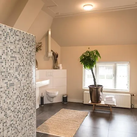 D'n Brouwer 4* Zelanda