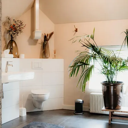 Bed and breakfast D'n Brouwer 4*