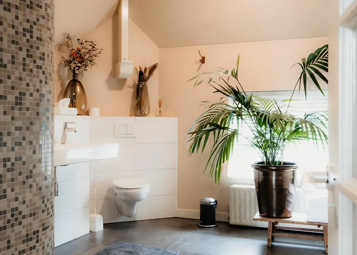 Bed and breakfast D'n Brouwer 4*